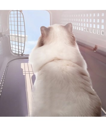 PP Plastic Pet Carrier