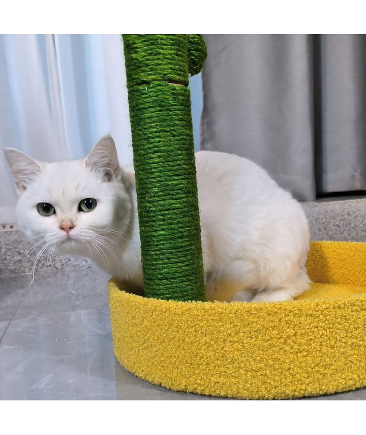 Cactus Small Cat Tree