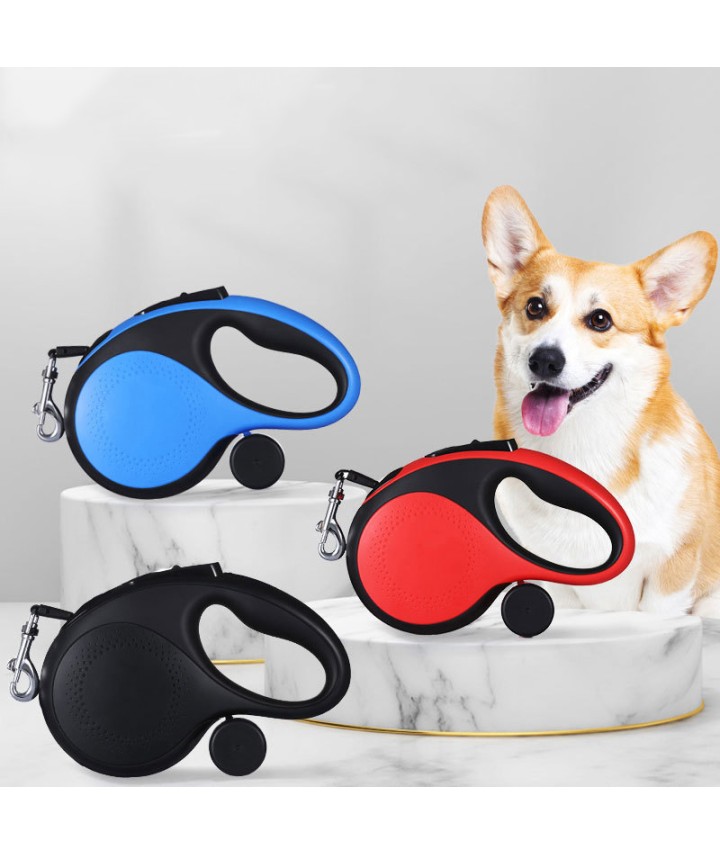Small Dog Leash