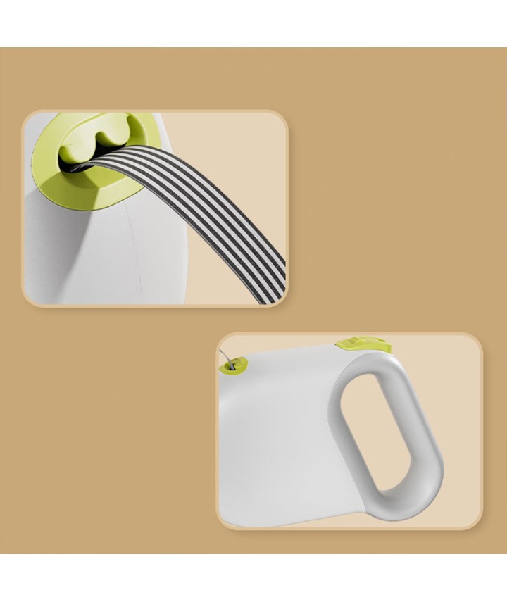 Automatic Pet Leash 