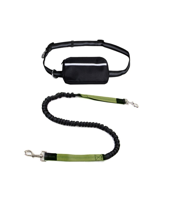 Leash Set with Waist Bag