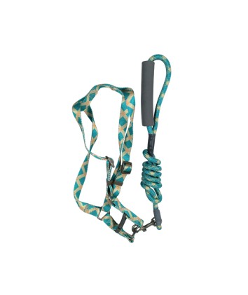 Multi-Color Dog Leash 