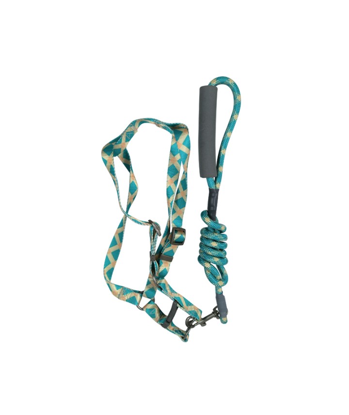 Multi-Color Dog Leash 
