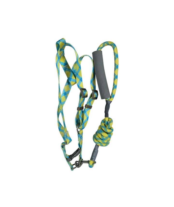 Multi-Color Dog Leash 