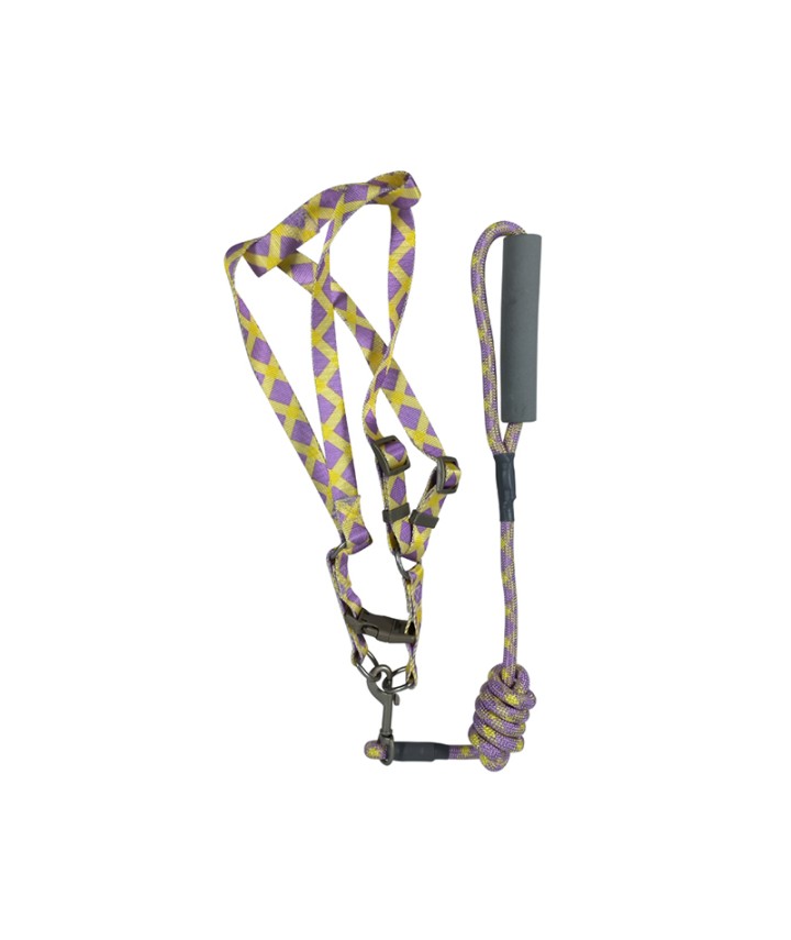 Multi-Color Dog Leash 