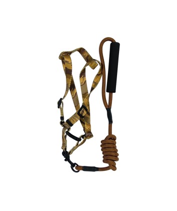 Multi-Color Dog Leash 