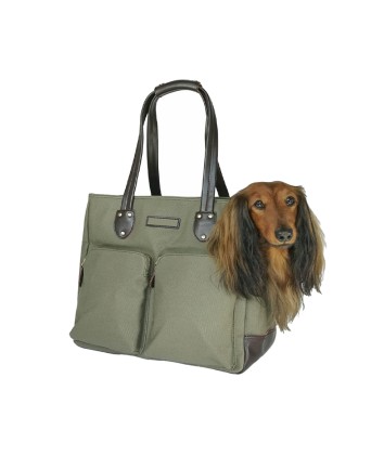Small Dog Backpack