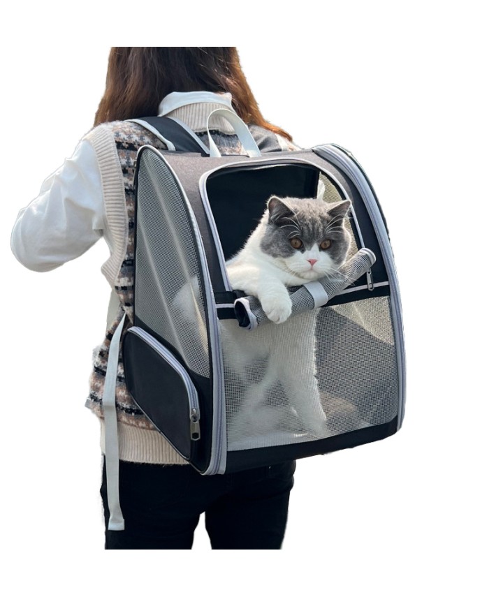 Foldable Mesh Pet Backpack